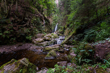 The Ravenna Gorge in the Black Forest is a narrow and steep side valley of the Hoellen Valley,...
