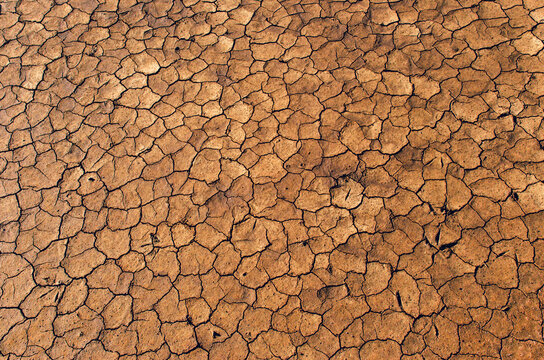 Dry cracked/perched mud/land background/texture