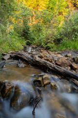 Fototapeta na wymiar A creek at Tahquamenon Falls State Park in summer Michigan