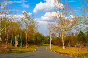 Fototapeta premium A paved road through park in spring in China