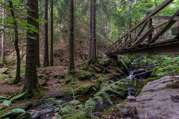 The Ravenna Gorge in the Black Forest is a narrow and steep side valley of the Hoellen Valley, mountain stream flows over many cascades and waterfalls