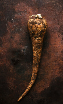 A dirty parsnip