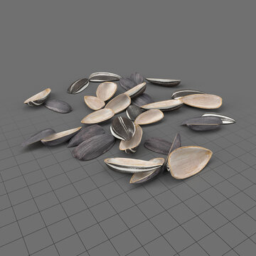 Sunflower seed husks