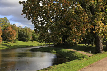 Nice landscape in a park in autumn