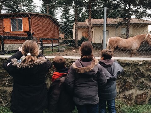 Kids Taking Pictures to a Farm Horse