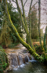 Ruisseau dans un parc à Meillonnas, France