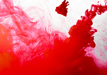 Closeup of a red ink in water in motion isolated on white. Ink swirling underwater. Colored abstract smoke explosion effect. Abstract background with copy space..