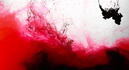 Closeup of a red and black ink in water in motion isolated on white. Ink swirling underwater. Colored abstract smoke explosion effect. Abstract background with copy space..