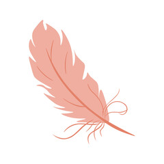 Vector pink feathers isolated on white background. Feather icon.