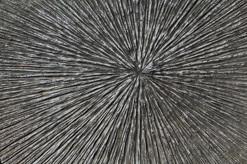 The texture of the old treated wood with a pattern in the form of rays.