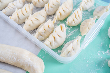 Chinese gourmet dumplings and pasta making process