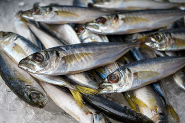 a lot of small fish in bulk on ice on a black background
