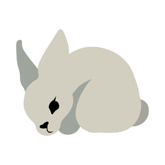 Cute Rabbit illustration. Isolated vector.