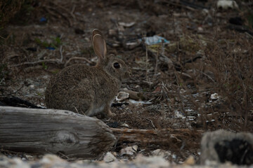 Herreros trabajando como se hacia antiguamente. Cuchilleria tradicional.