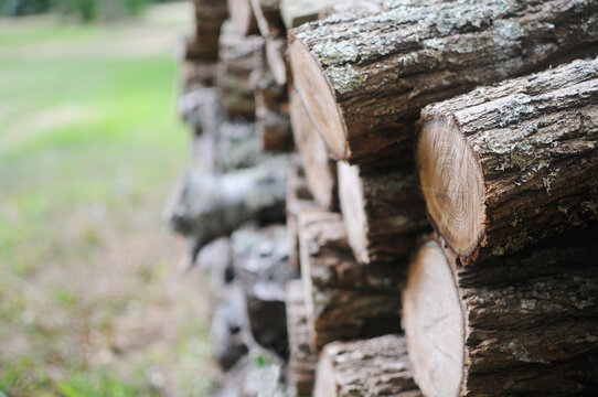 Logs