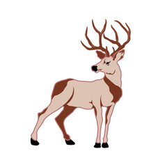 Forest Deer on a white background. Vector illustration.
