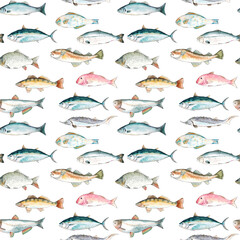 Watercolor hand drawn sketch illustration seamless pattern background with fish Seabass, Tuna, Red mullet, Carp, Pike perch, Parrot fish, Sturgeon, Salmon, Cod, Silver carp with lettering isolated