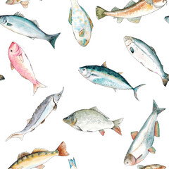 Watercolor hand drawn sketch illustration seamless pattern background with fish Seabass, Tuna, Red mullet, Carp, Pike perch, Parrot fish, Sturgeon, Salmon, Cod, Silver carp with lettering isolated