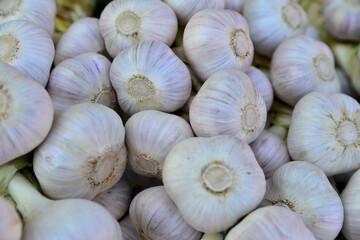 A heap of garlic bulbs