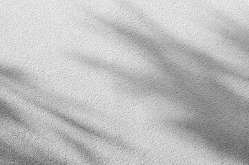 Abstract Shadow. blurred background. gray leaves that reflect concrete walls on a white wall surface for blurred backgrounds and monochrome wallpapers.
