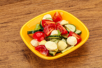 Salad with vegetables and mozzarlla