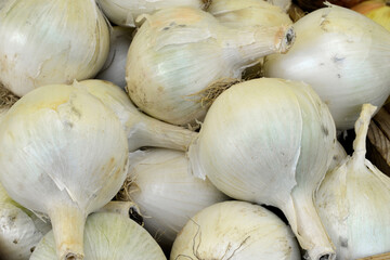 A heap of white onions.