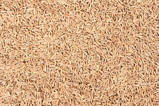 Cumin or zira isolated on white background. Top view.