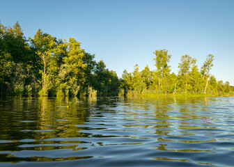 view of the green shore of the lake on a sunny summer day, reflections in the calm lake water