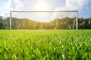 Focus on green grass of a football field with blurry goal in the background. - obrazy, fototapety, plakaty