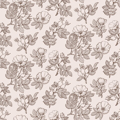 Seamless pattern with Rosehip flowers, leaves and berries, seeds. Graphic hand drawn engraving style. Botanical illustration for packaging, menu cards, posters, prints.