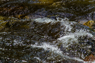 in summer rocky mountain river water silk. mountain river