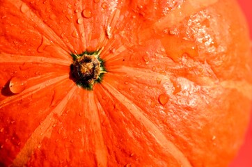 orangener Kürbis mit streifen in macro