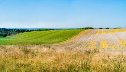 Dunstable Downs in the Chiltern Hills