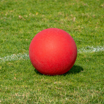 Red Playground kickball ball on the green grass in the bright sunshine. Summer fun.	