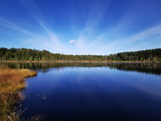 reflection of trees in water