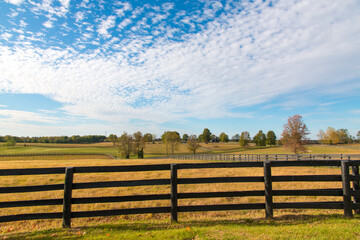 Beautiful autumn country landscape with pastures of horse farms.