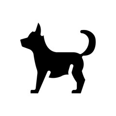 pet