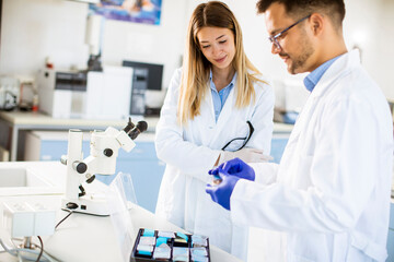 Group of young researchers analyzing chemical data in the laboratory