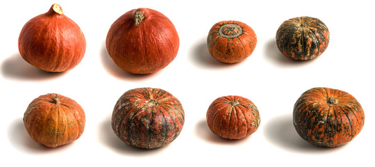 Set with fresh raw pumpkins on white background.