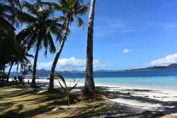 Palmeras en la playa