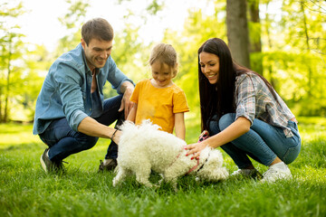 Beautiful happy family is having fun with bichon dog outdoors