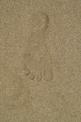 Fototapeta na wymiar Huella de pies sobre arena de playa