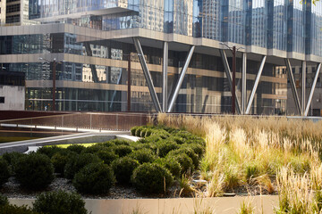 Green and glass environmentally friendly urban architecture for sustainability in city center downtown.