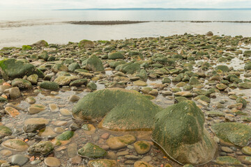 Seaside low tide moss covered rocks landscape