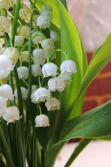 bouquet of lilies of the valley