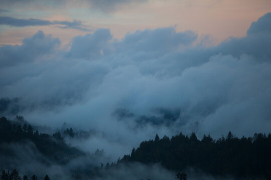 Thick fog and clouds settled into the trees after a big storm