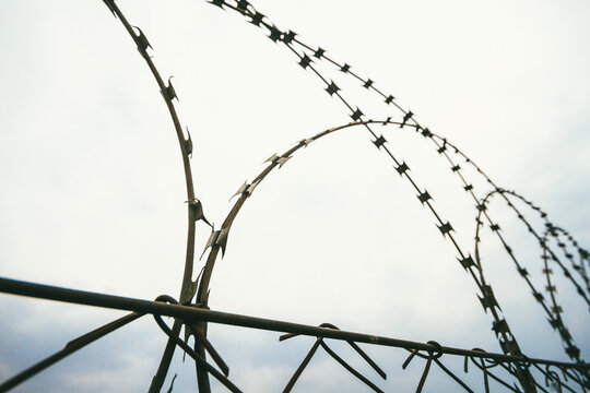 Barbed wire detail on a fence