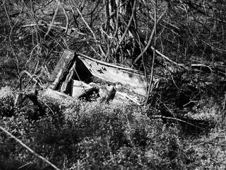 Old Rusted Refrigerator a Flooded Woods B&W