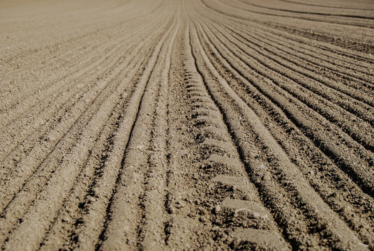 Brown, fertile, plowed soil of an agricultural field