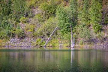 Obraz premium Still water of the green lake in front of the green hills with trees and grass. Summer landscape in Kazakhstan.